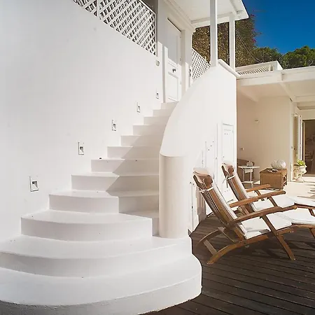 Coccodrilla By Myvillacollection *