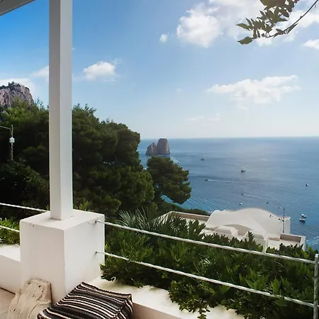 Coccodrilla By Myvillacollection