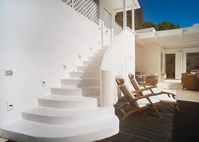 Coccodrilla By Myvillacollection *